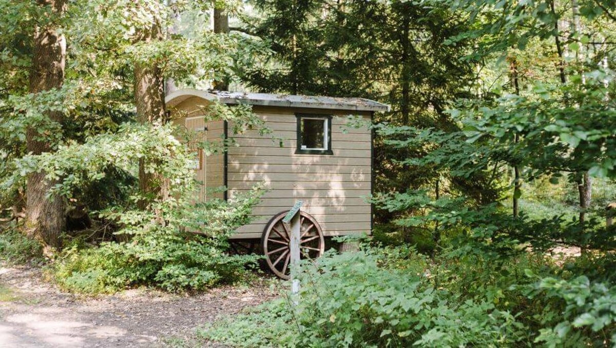 Bilder FriedWald Bremer Schweiz