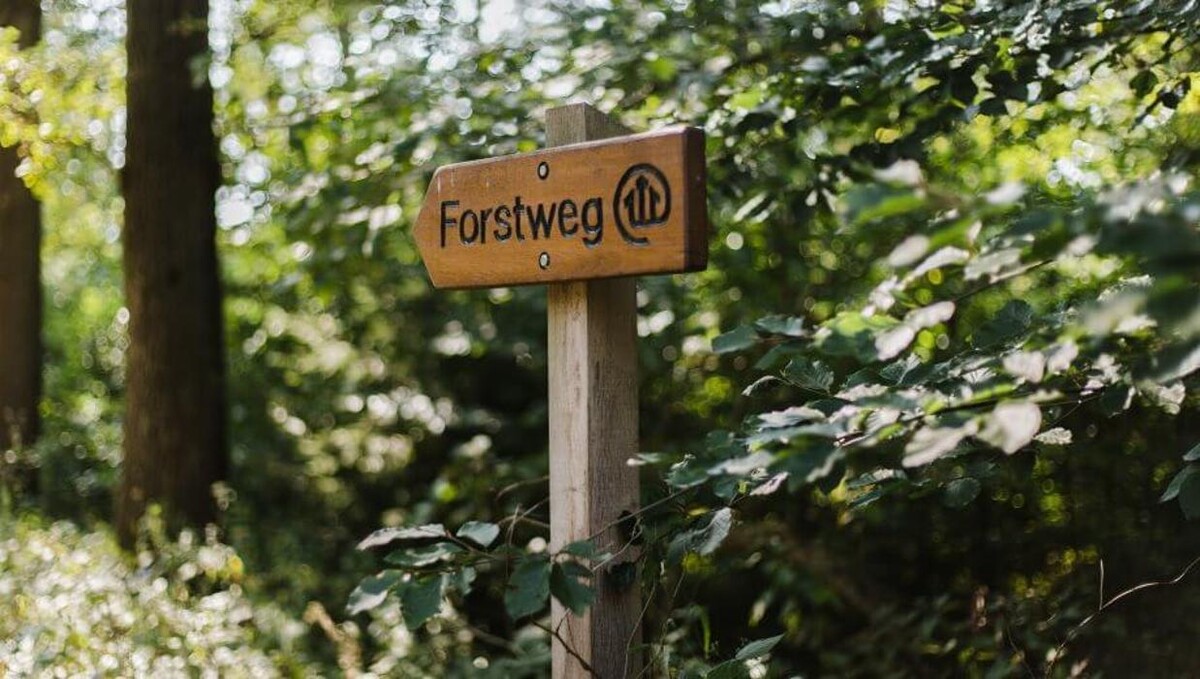 Bilder FriedWald Bremer Schweiz