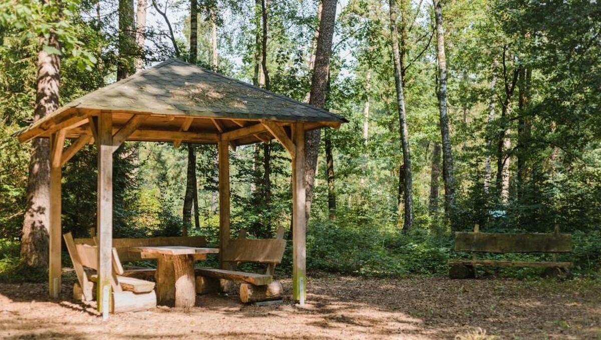 Bilder FriedWald Bremer Schweiz