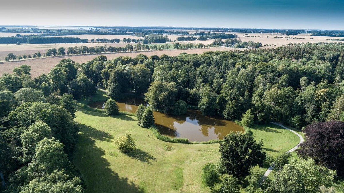 Bilder FriedWald Rügen