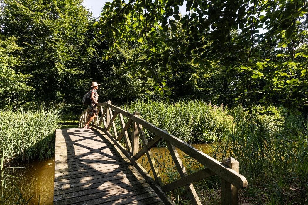 Bilder FriedWald Rügen