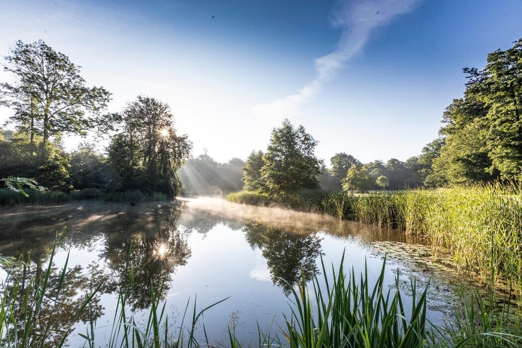 Bilder FriedWald Rügen