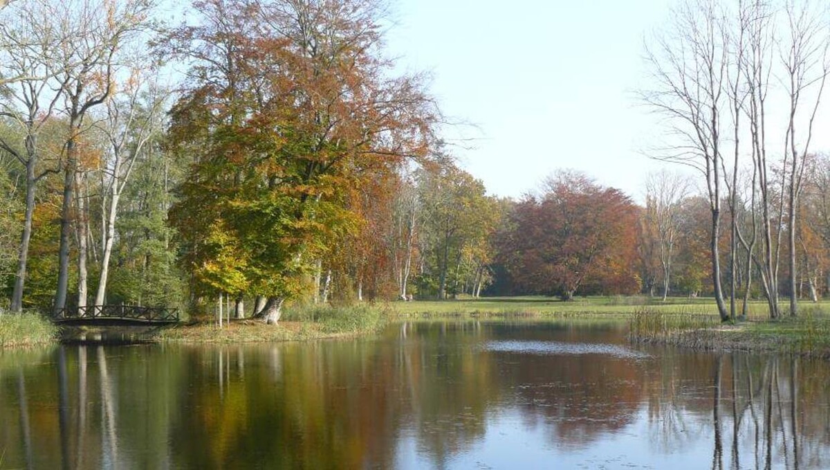 Bilder FriedWald Rügen