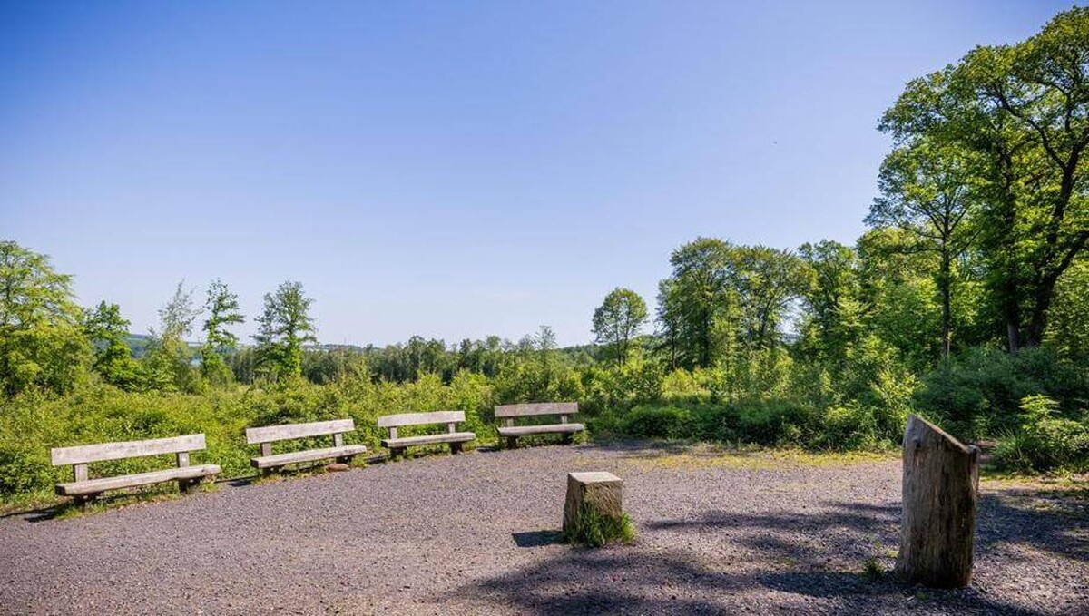 Bilder FriedWald Möhnesee