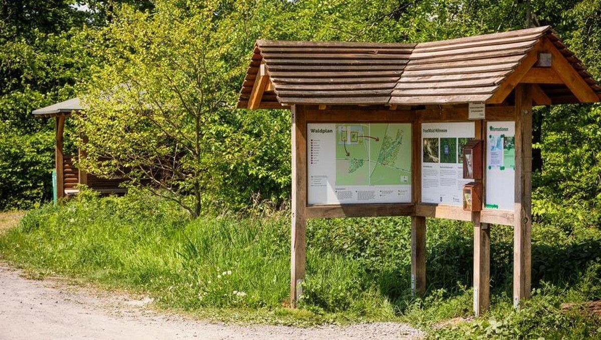 Bilder FriedWald Möhnesee
