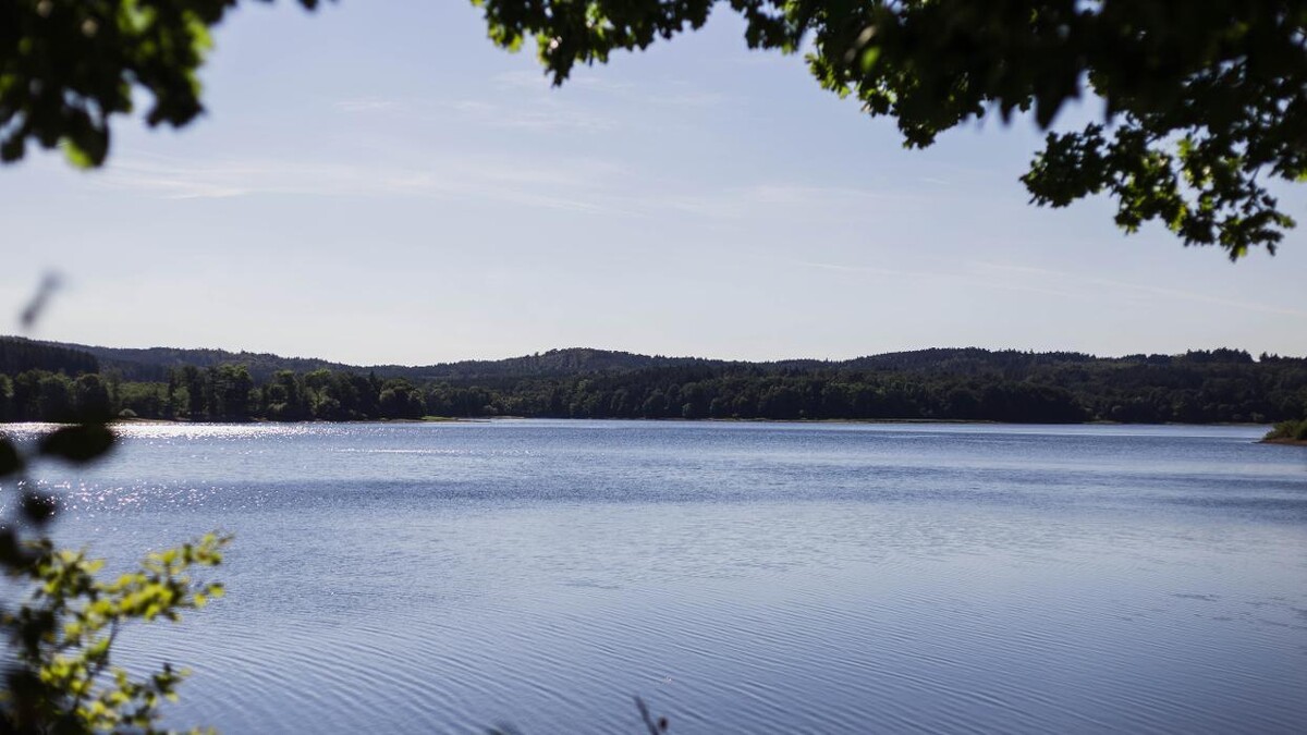 Bilder FriedWald Möhnesee