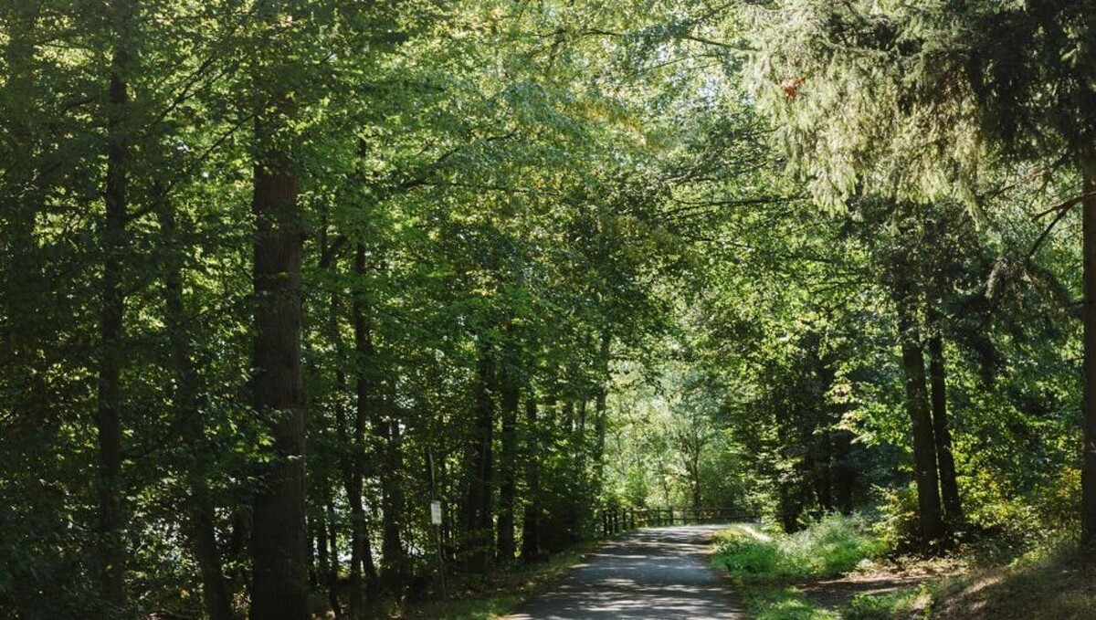 Bilder FriedWald Möhnesee