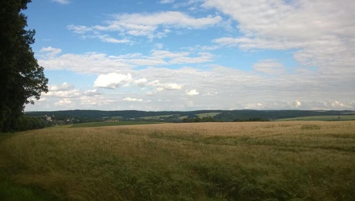 Bilder FriedWald Waldenburg