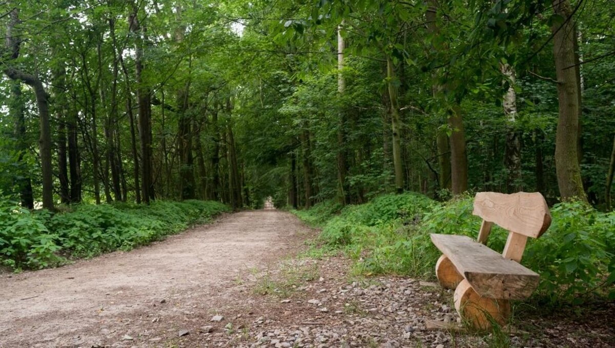 Bilder FriedWald Waldenburg