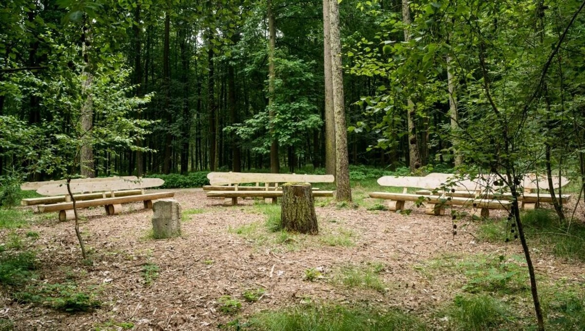 Bilder FriedWald Waldenburg