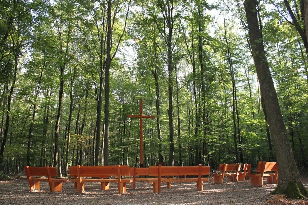 Bilder FriedWald Meroder Wald