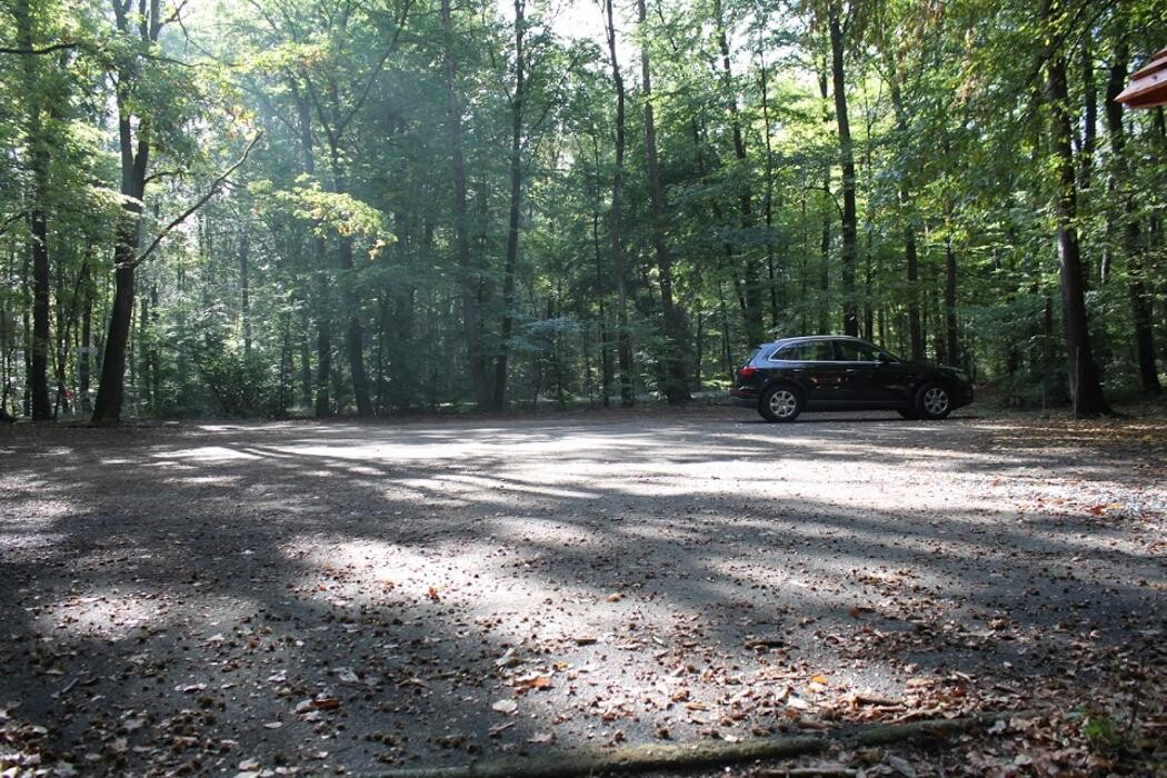 Bilder FriedWald Meroder Wald
