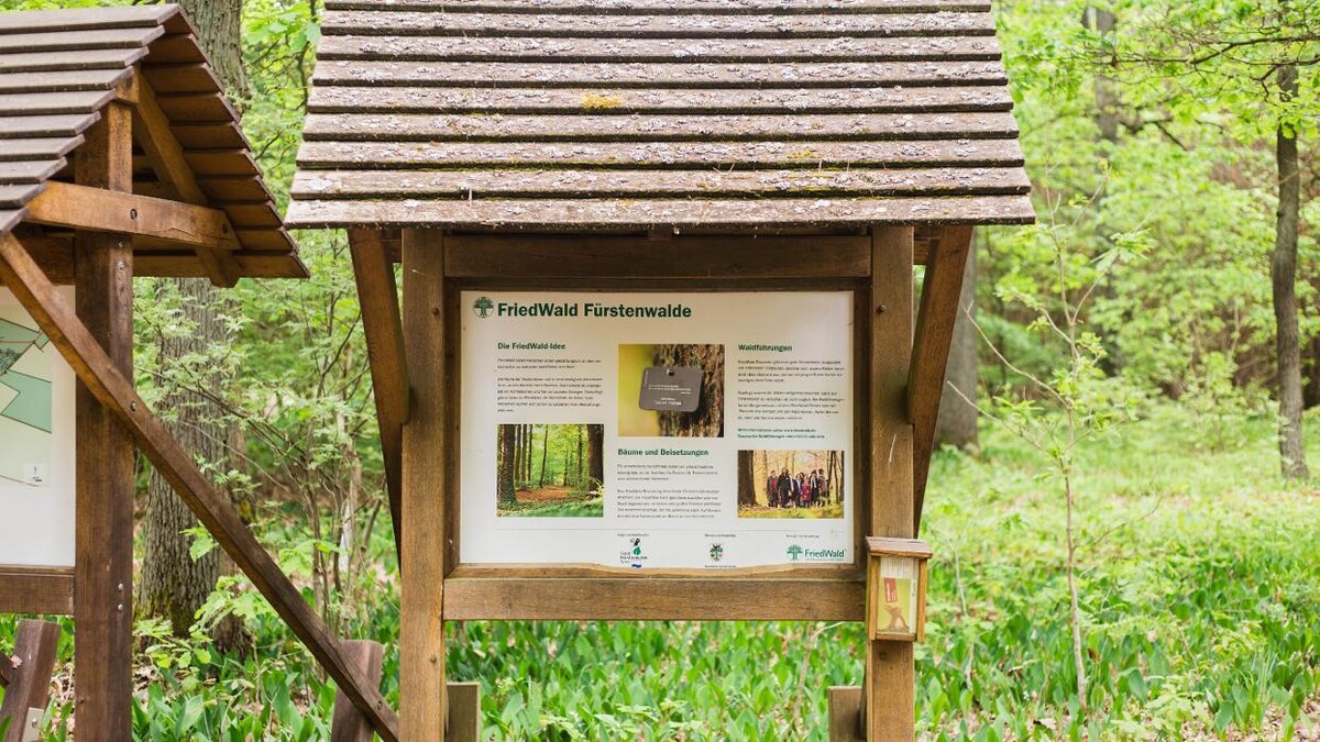 Bilder FriedWald Fürstenwalde