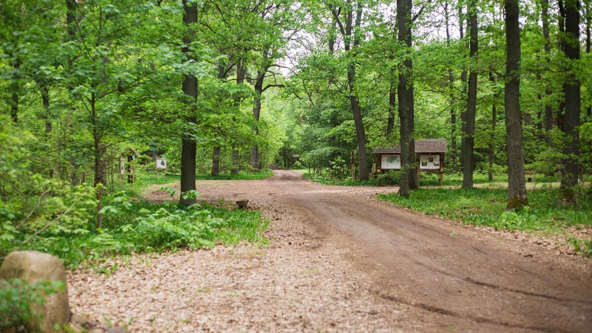 Bilder FriedWald Fürstenwalde
