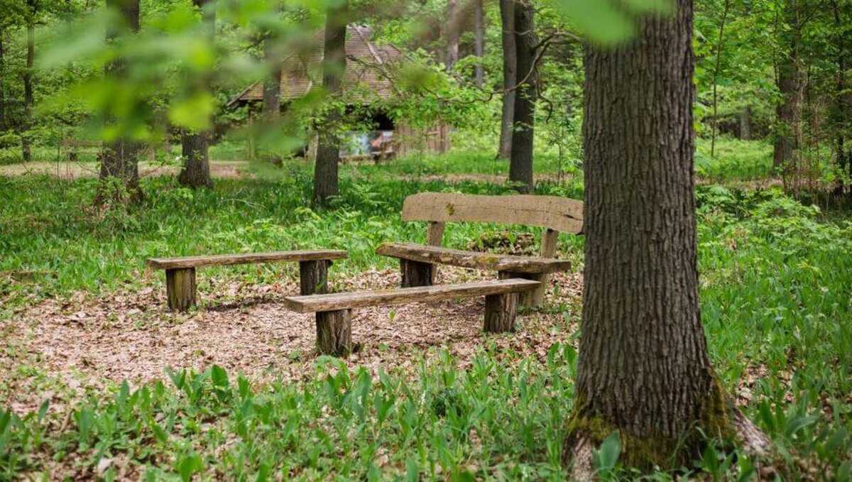 Bilder FriedWald Fürstenwalde