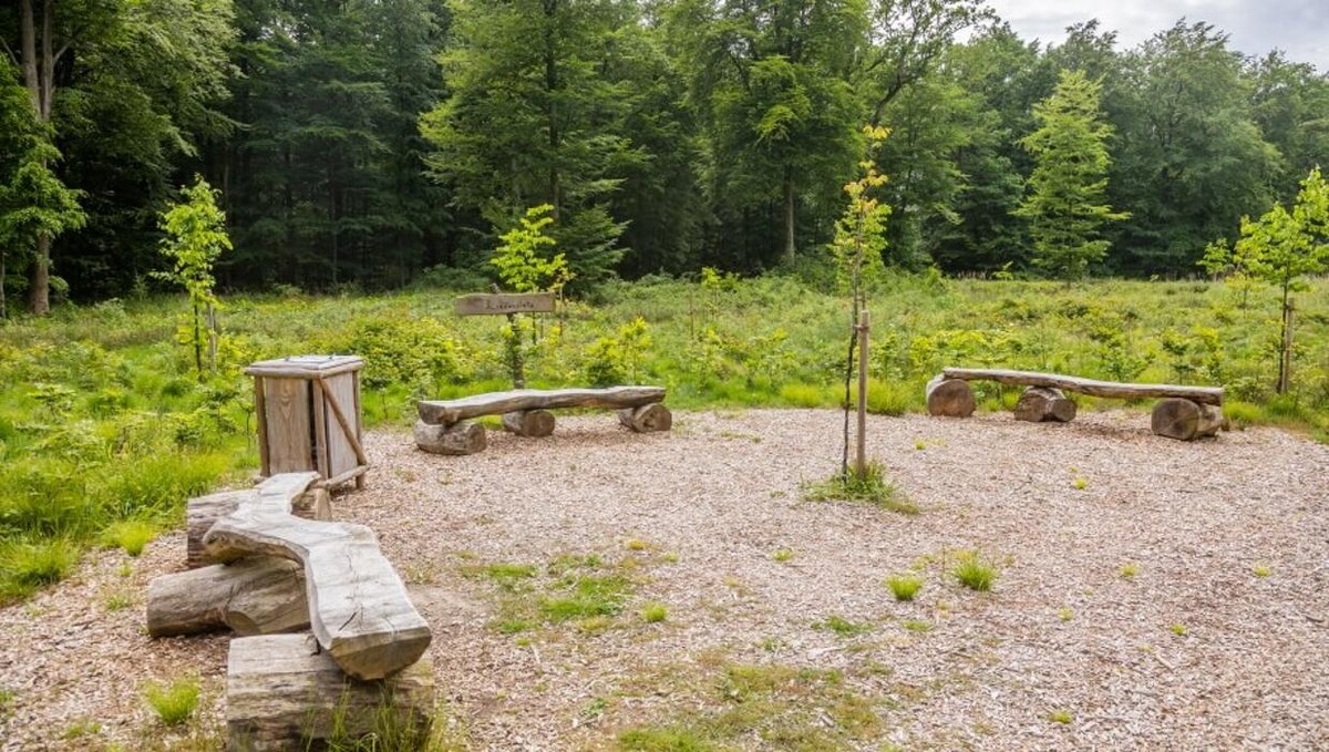 Bilder FriedWald Borchen-Nonnenbusch