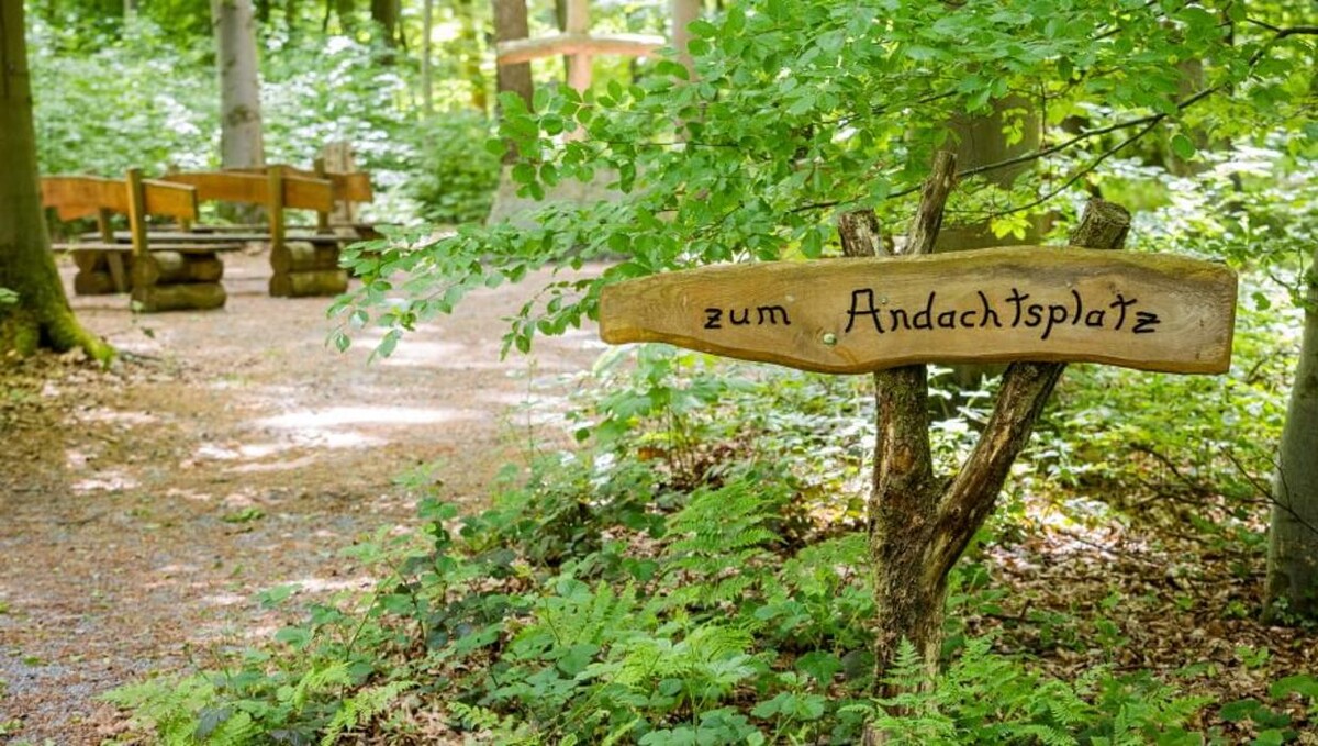 Bilder FriedWald Borchen-Nonnenbusch