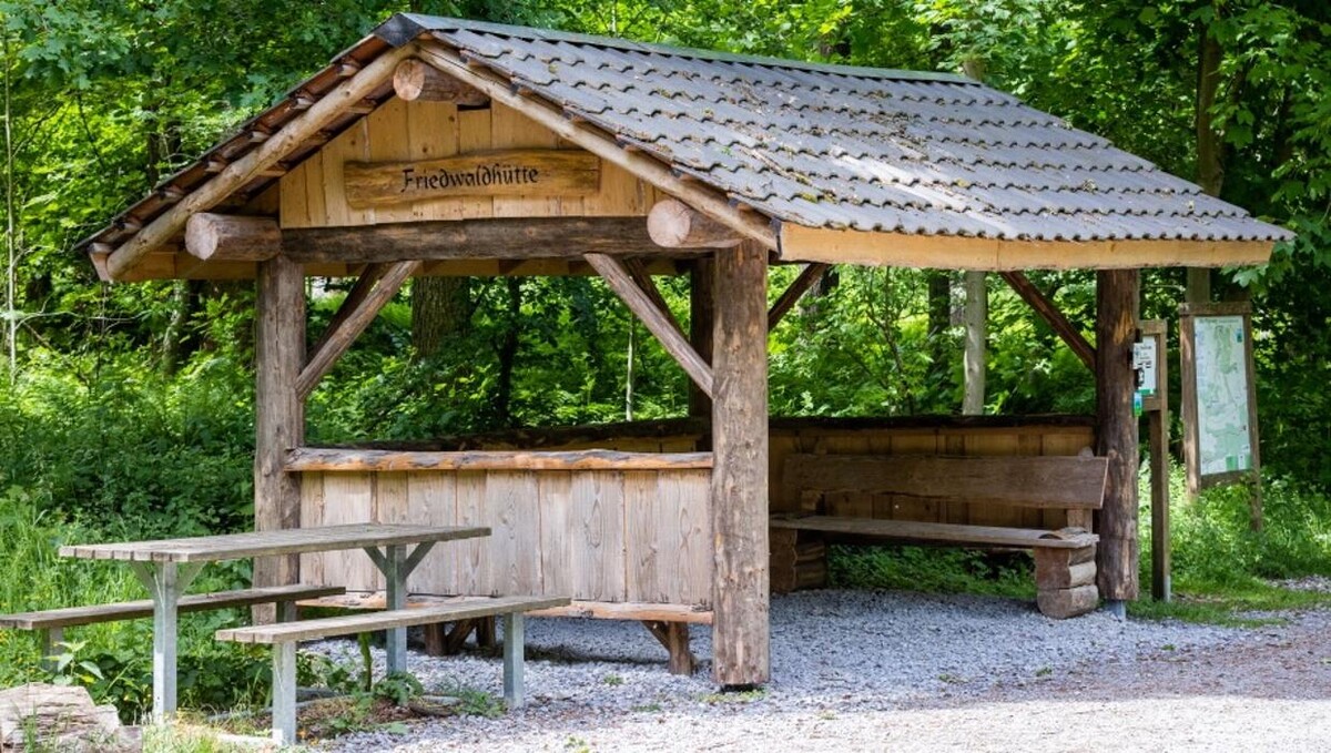 Bilder FriedWald Borchen-Nonnenbusch