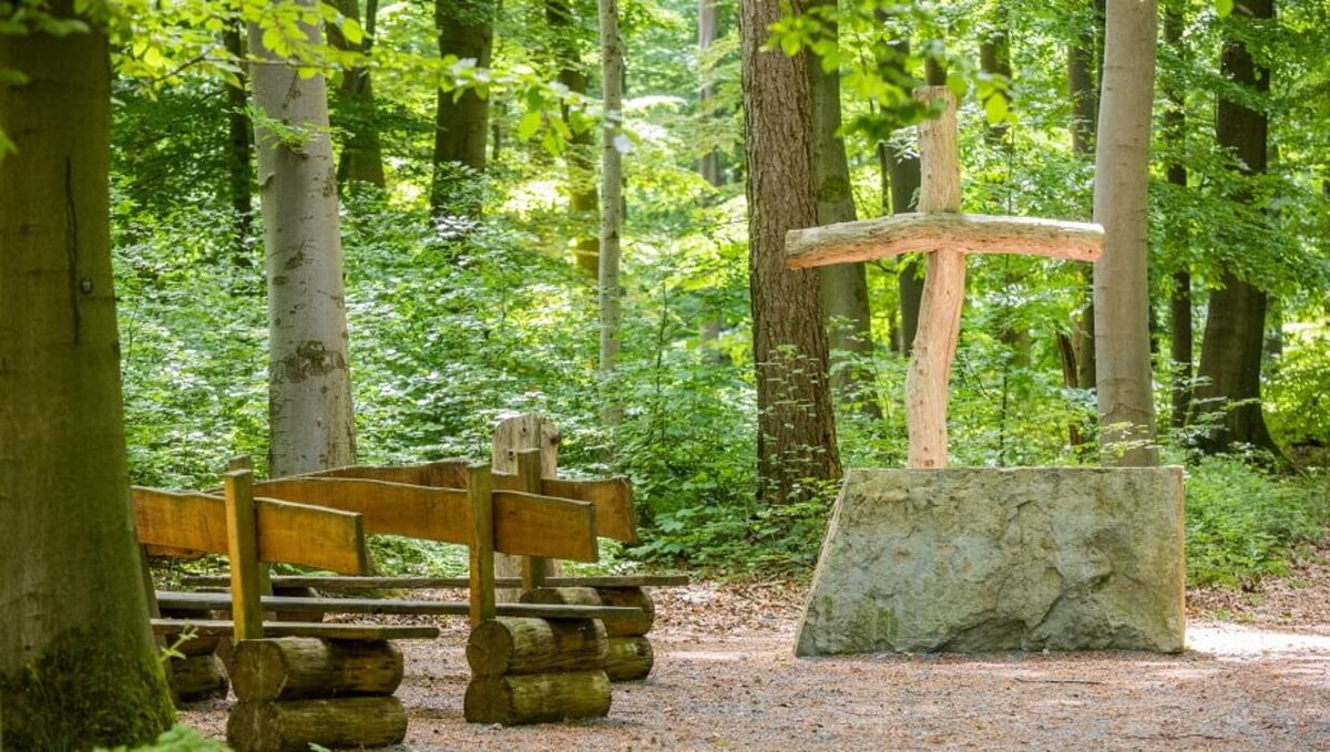 Bilder FriedWald Borchen-Nonnenbusch