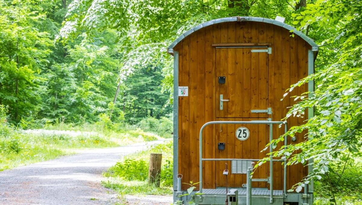 Bilder FriedWald Borchen-Nonnenbusch