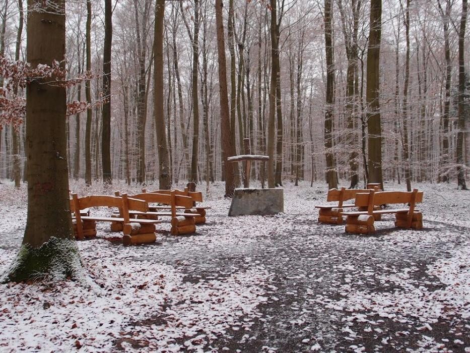 Bilder FriedWald Borchen-Nonnenbusch
