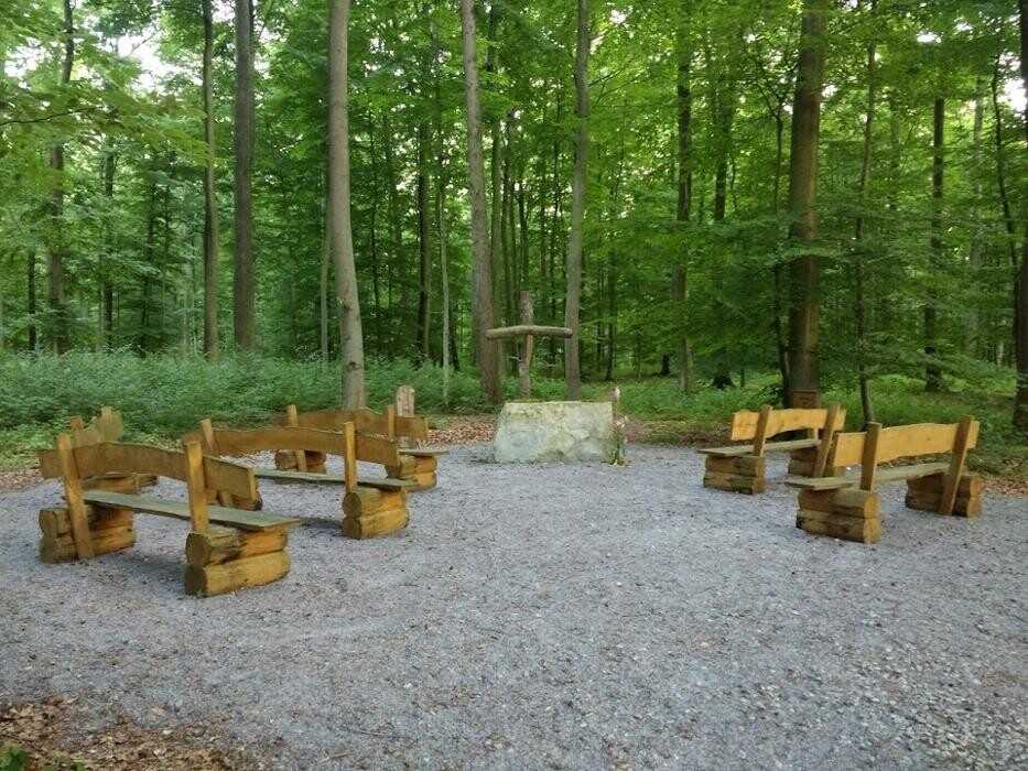 Bilder FriedWald Borchen-Nonnenbusch
