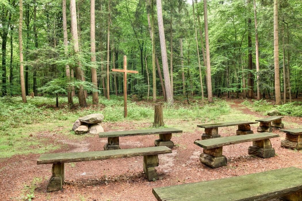 Bilder FriedWald Buxtehude