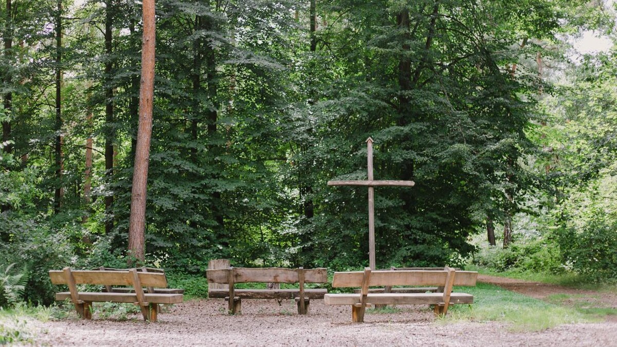 Bilder FriedWald Dudenhofen
