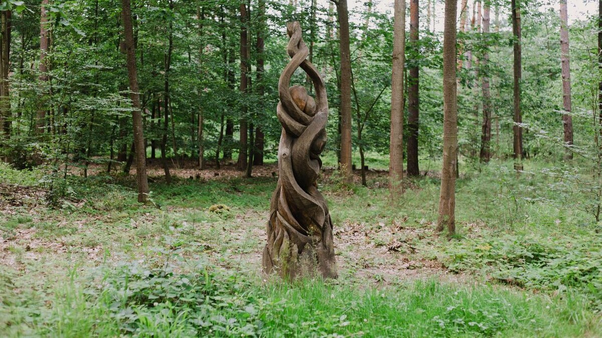 Bilder FriedWald Dudenhofen