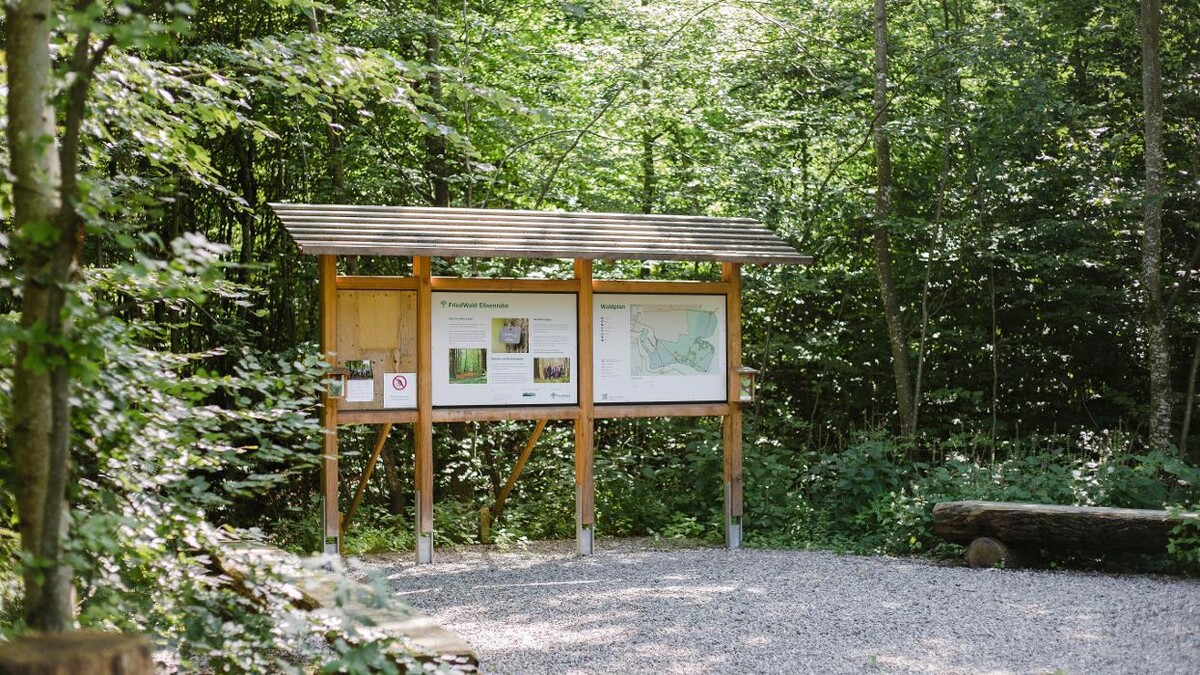 Bilder FriedWald Elisenruhe