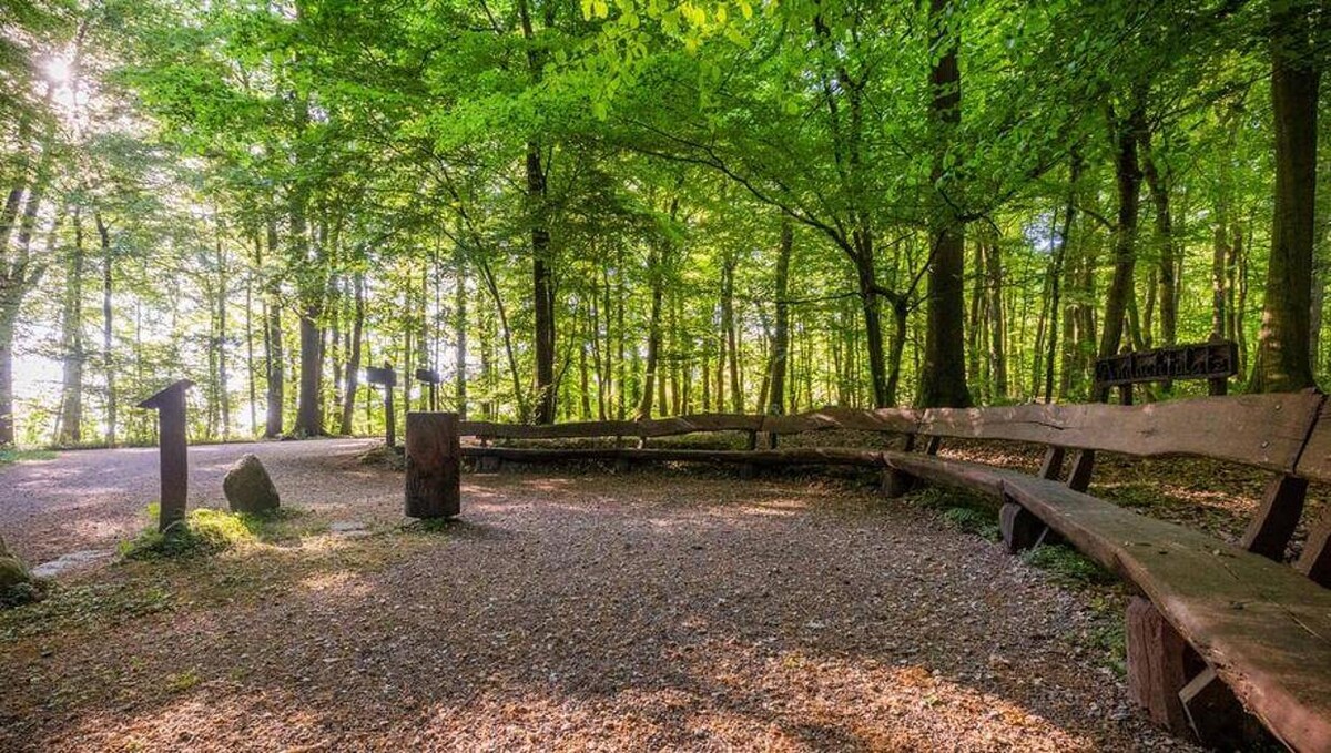 Bilder FriedWald Kalletal