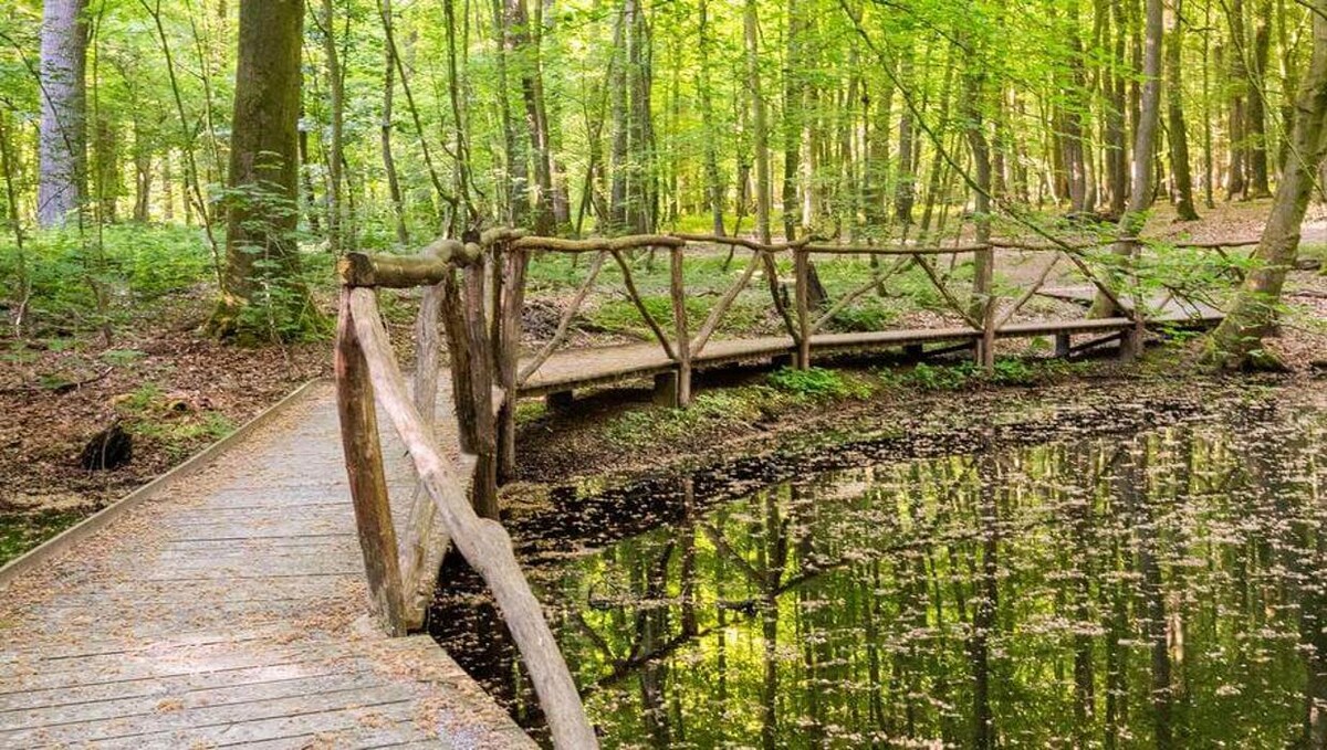 Bilder FriedWald Kalletal