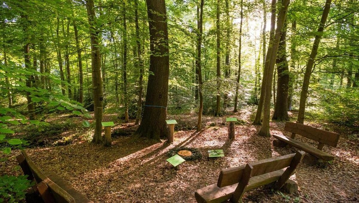 Bilder FriedWald Kalletal