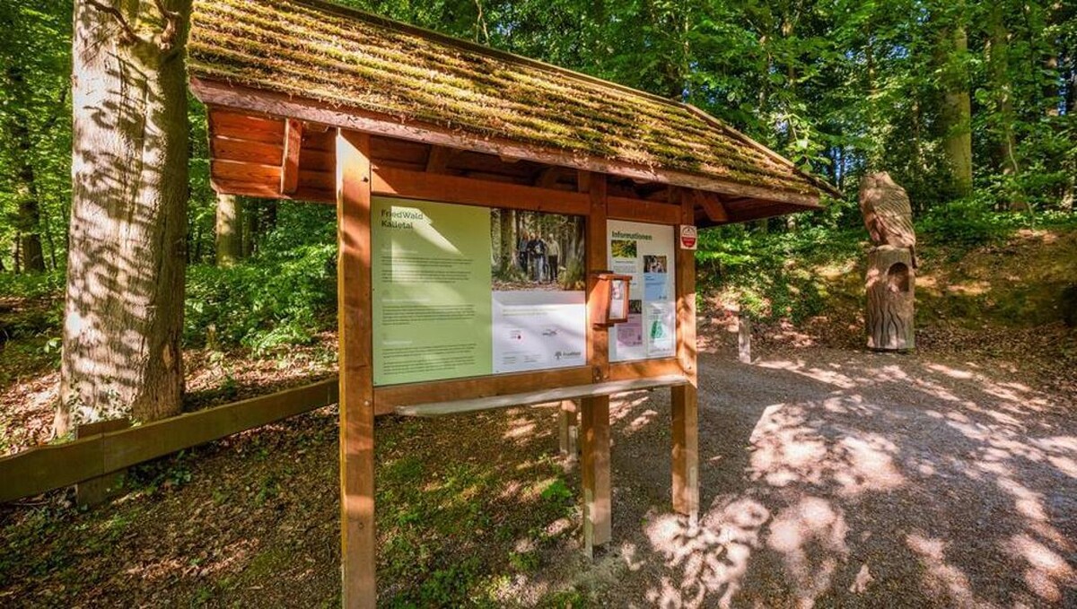 Bilder FriedWald Kalletal