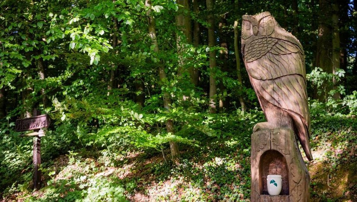 Bilder FriedWald Kalletal