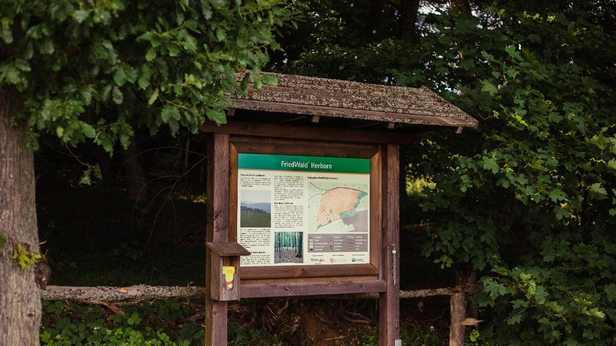Bilder FriedWald Herborn