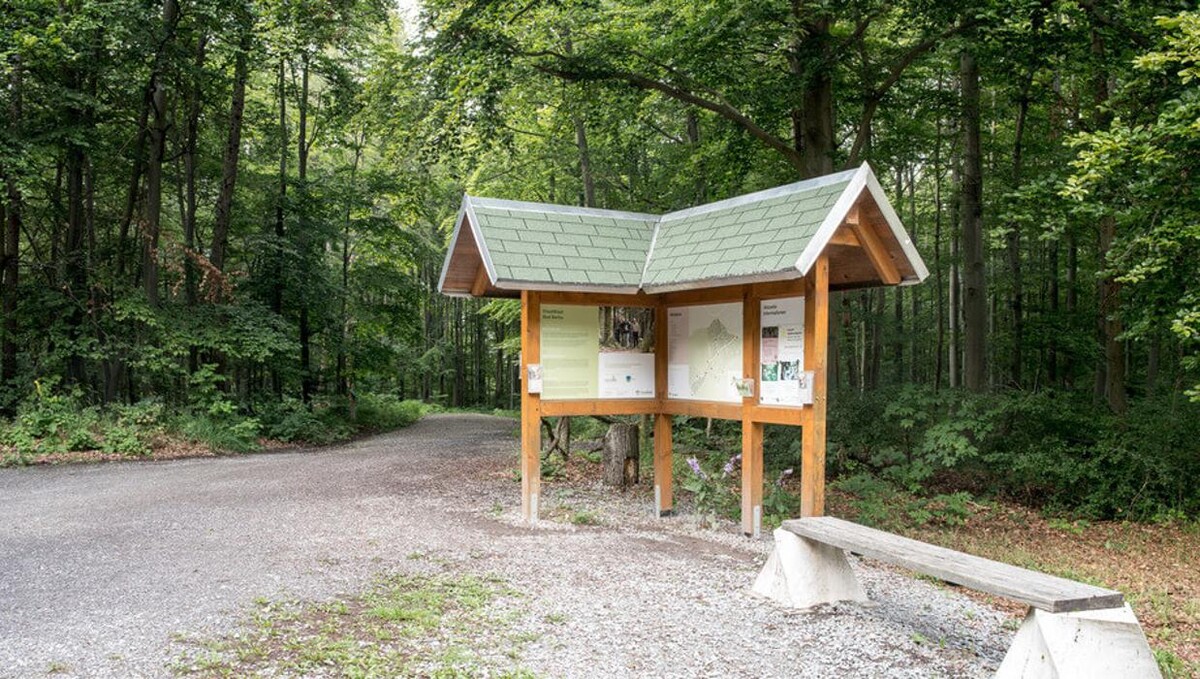 Bilder FriedWald Bad Berka