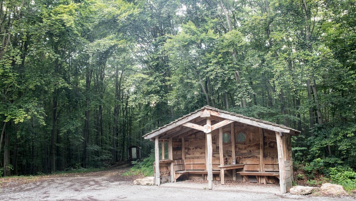 Bilder FriedWald Bad Berka