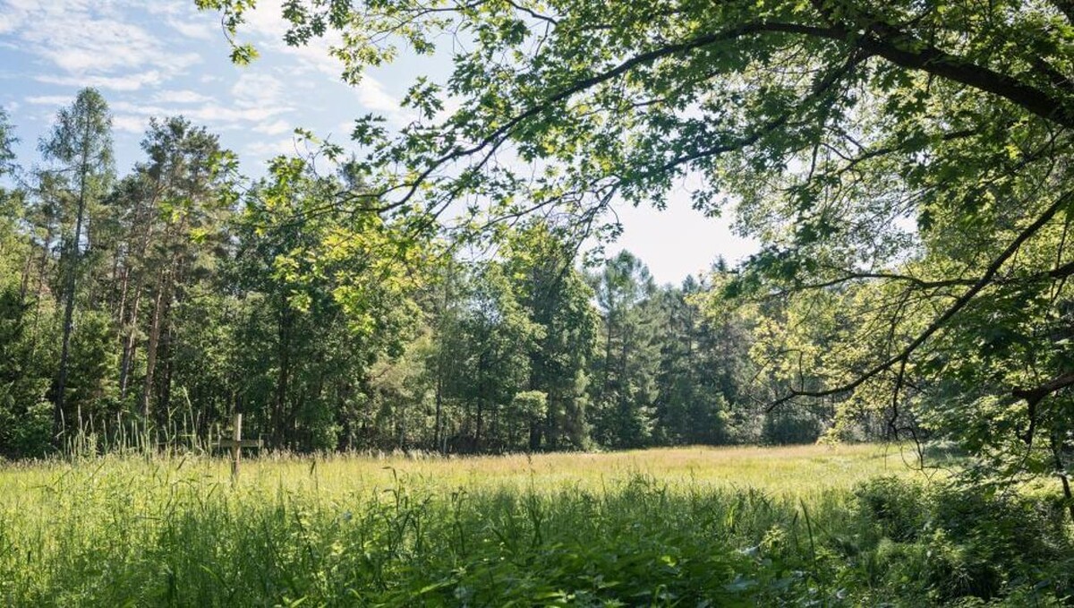 Bilder FriedWald Oberau