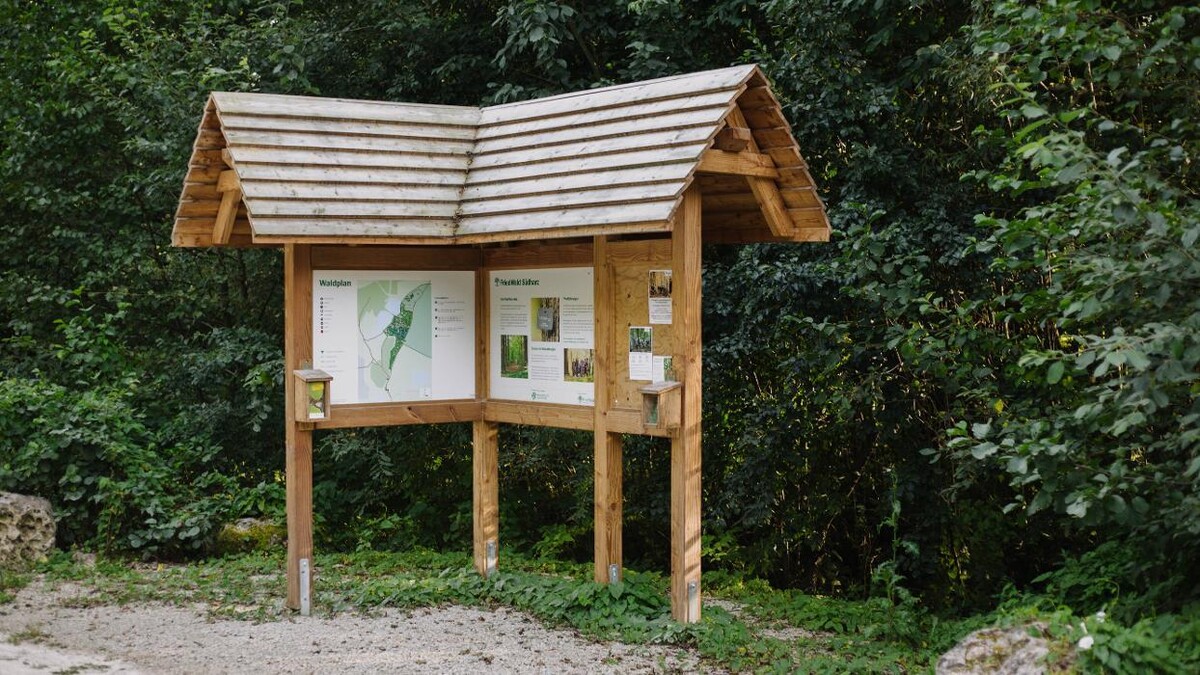 Bilder FriedWald Südharz