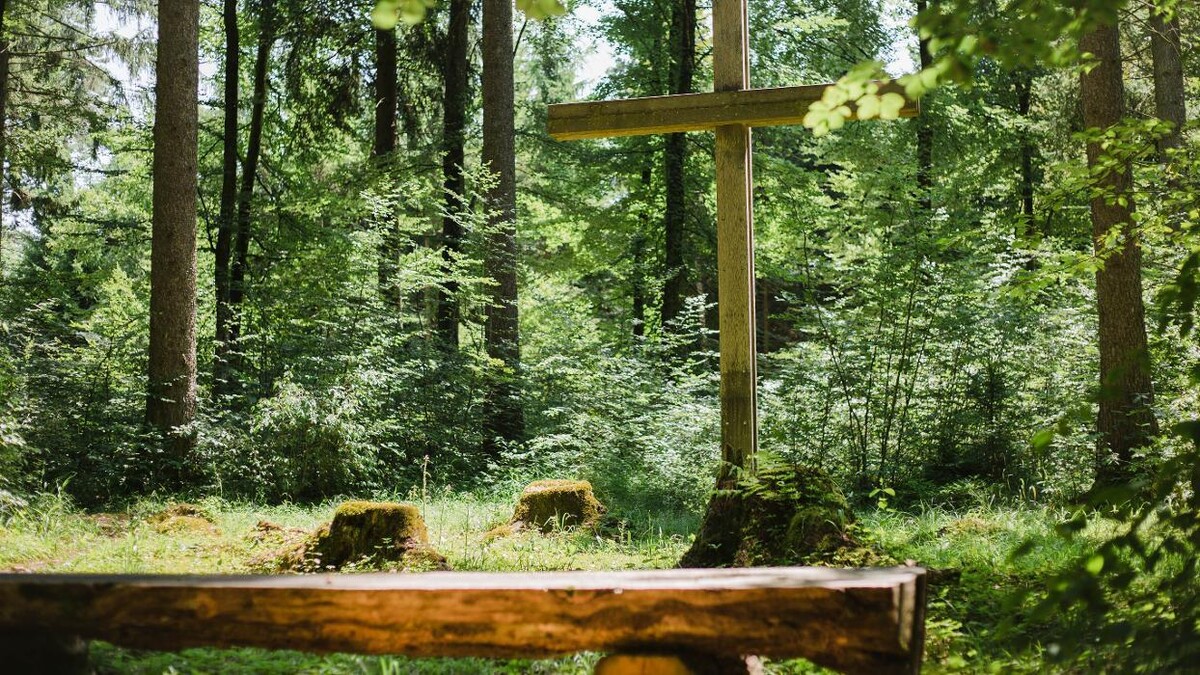 Bilder FriedWald Hegau