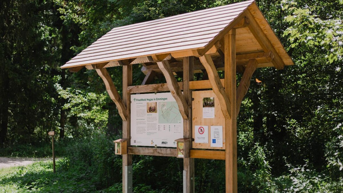 Bilder FriedWald Hegau