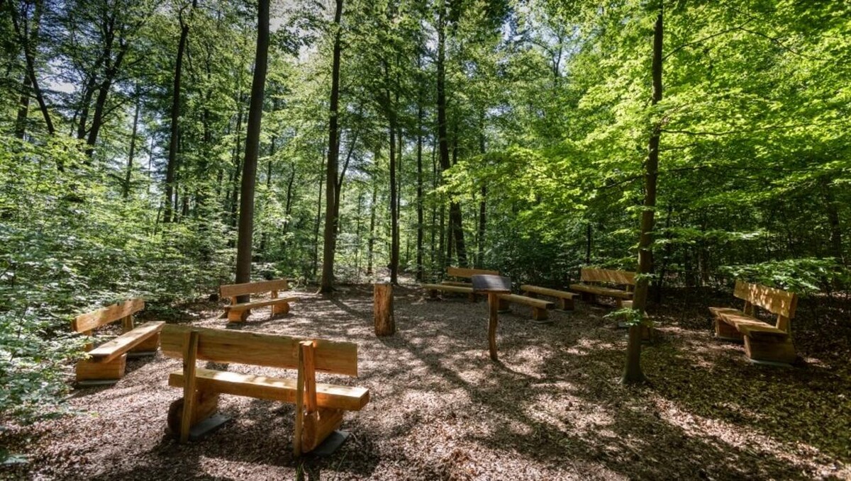 Bilder FriedWald Mühlenbecker Land