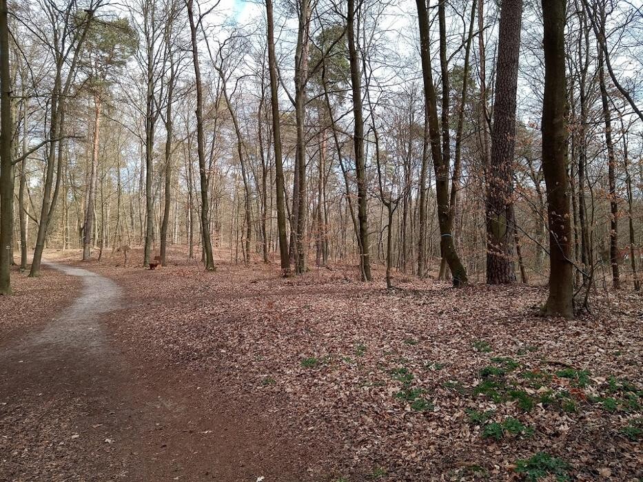 Bilder FriedWald Mühlenbecker Land