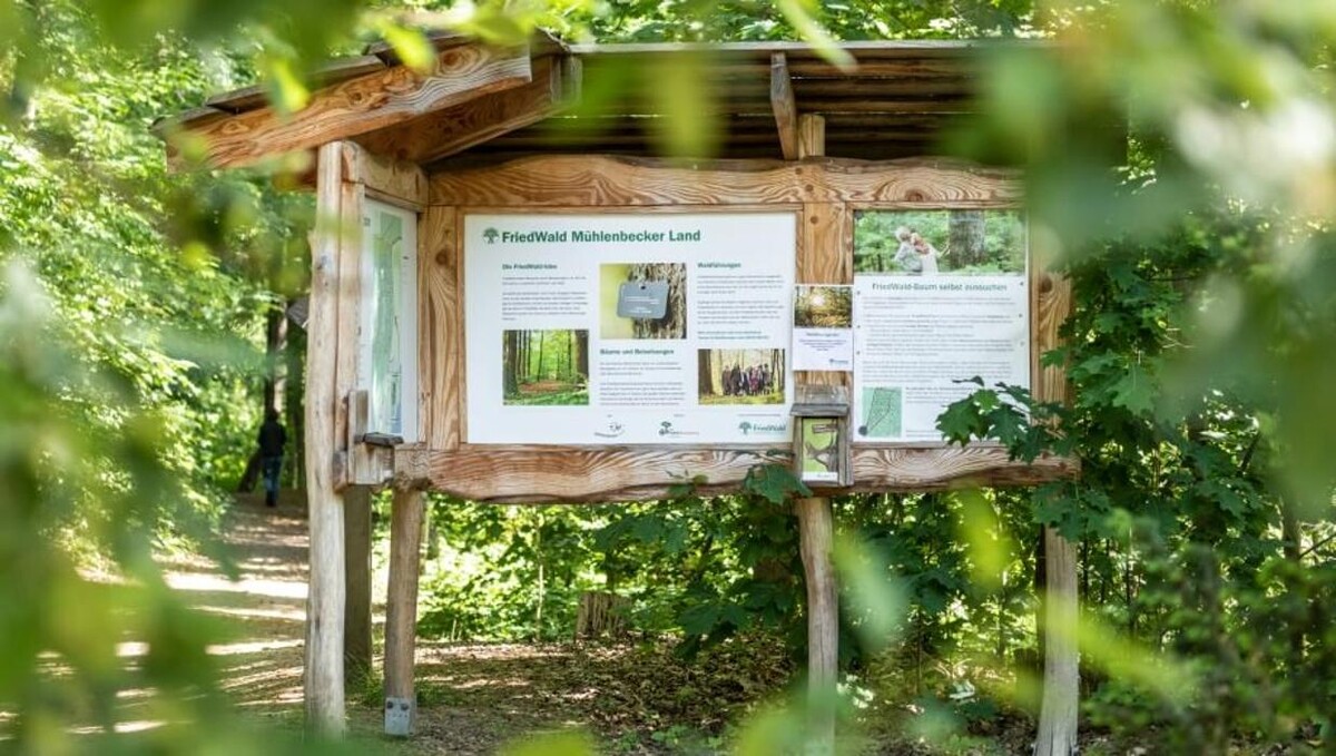 Bilder FriedWald Mühlenbecker Land