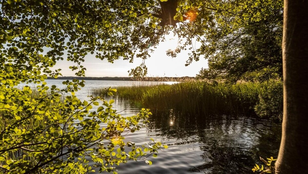 Bilder FriedWald Mühlenbecker Land