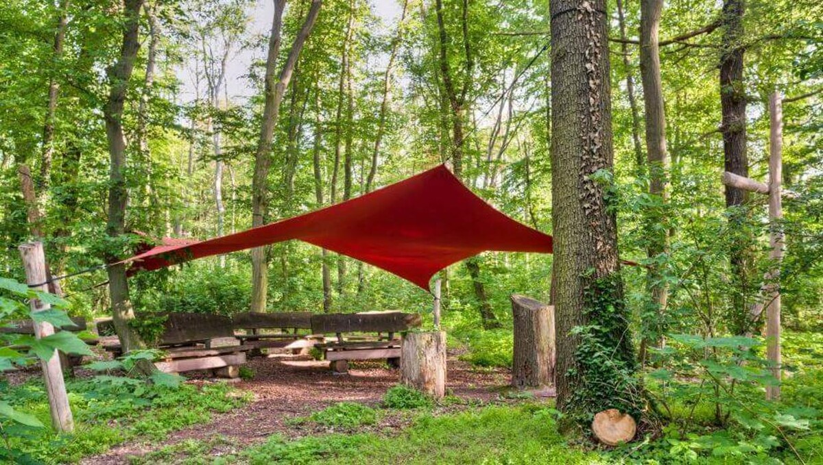 Bilder FriedWald Freyburg (Unstrut)