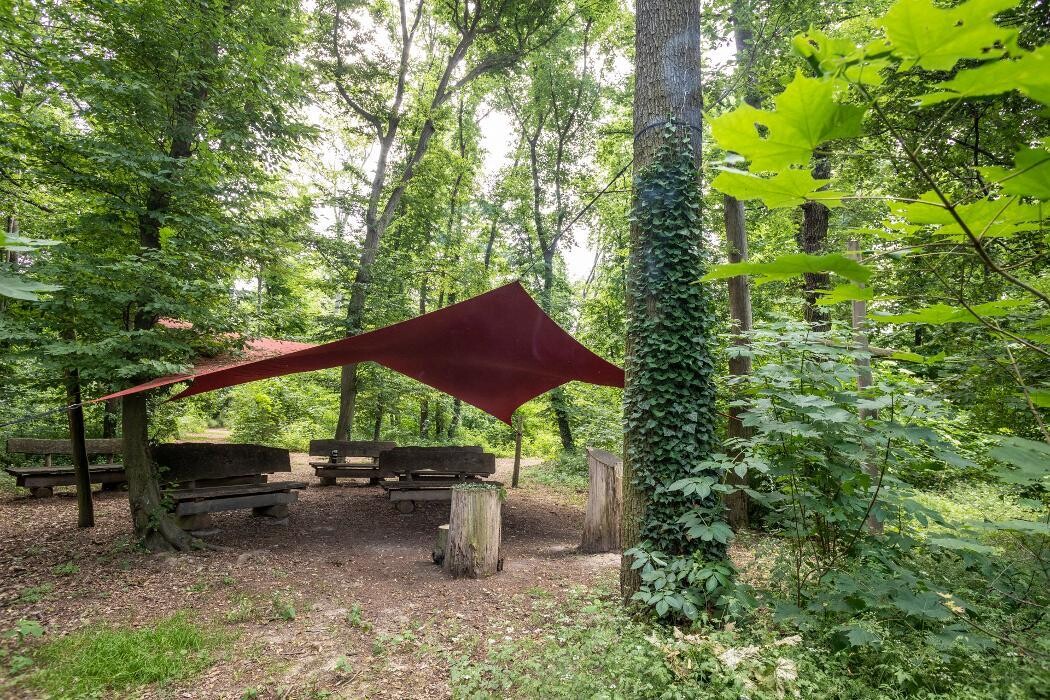 Bilder FriedWald Freyburg (Unstrut)