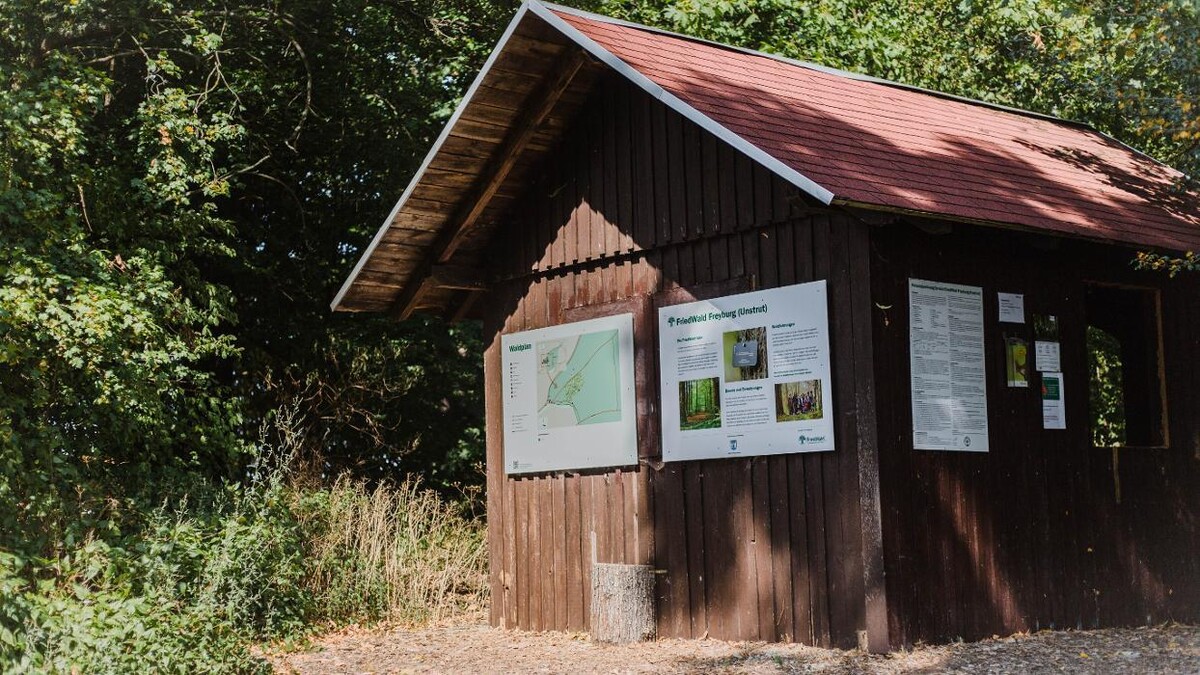 Bilder FriedWald Freyburg (Unstrut)