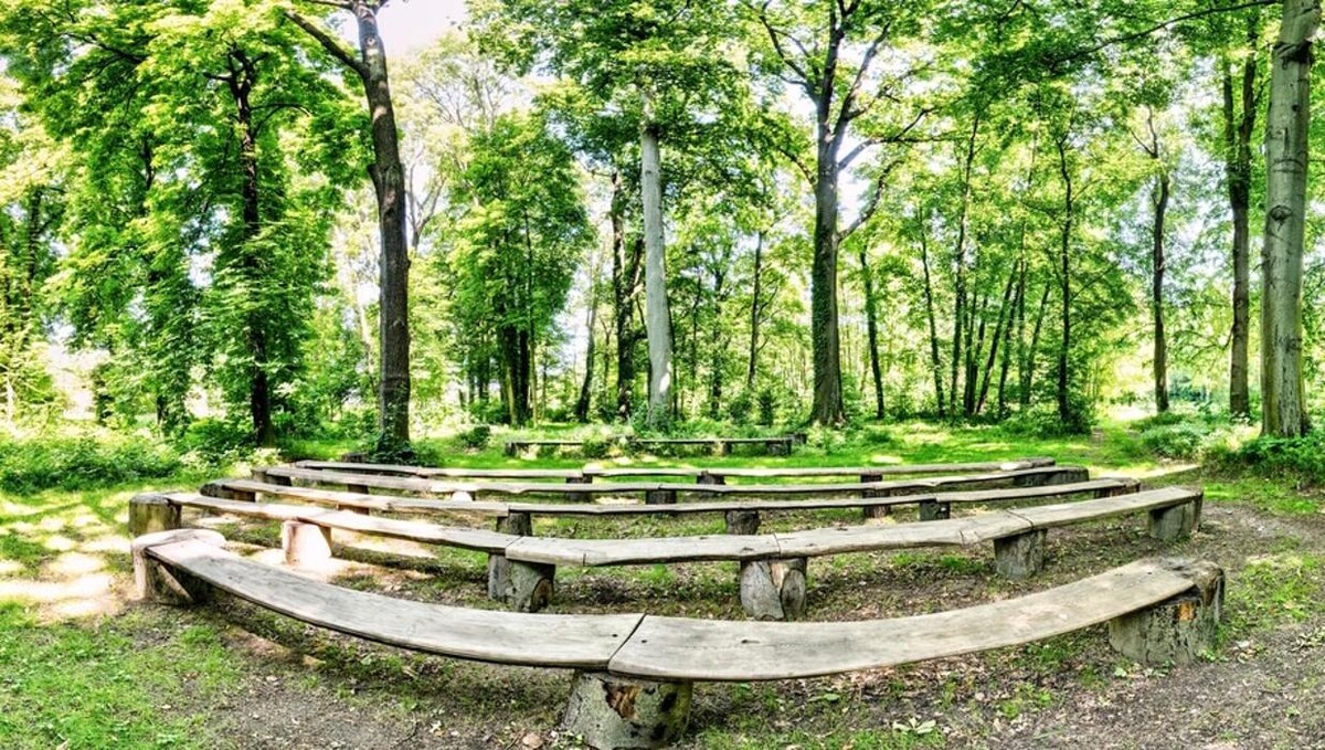 Bilder FriedWald Markersdorf